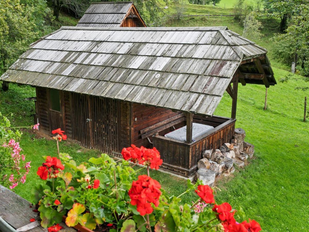 Holiday Home In Arriach Near Lake Ossiach エクステリア 写真